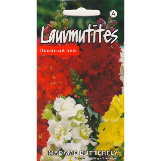 KS Lauvmutītes Madame...