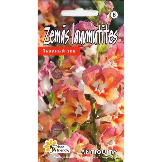 KS Lauvmutītes Antiquity 15s