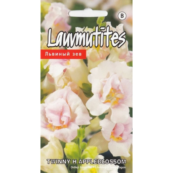 KS Lauvmutītes Twinny H...