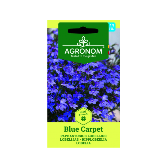 Lobēlijas Blue Carpet