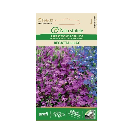 Lobēlijas REGATTA LILAC