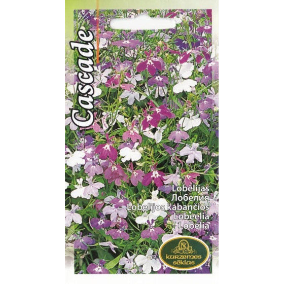 KS Lobēlijas Cascade...