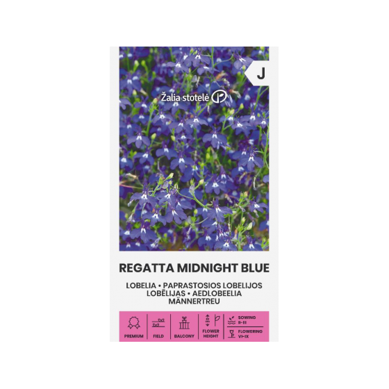 Lobēlijas Regatta Midnight...