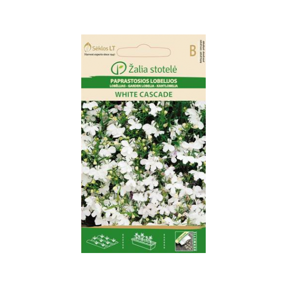 Lobēlijas WHITE CASCADE