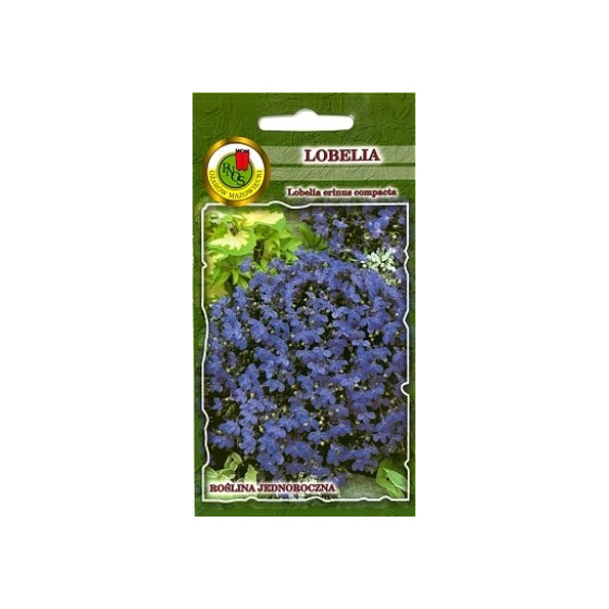 Lobēlija krūmu tumši zila