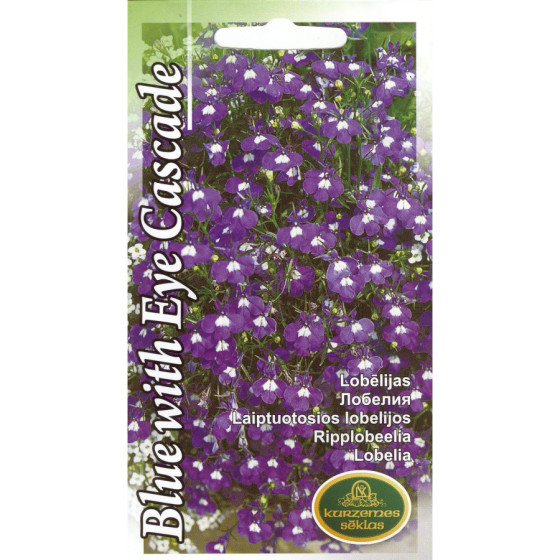 KS Lobēlijas Blue With Eye...