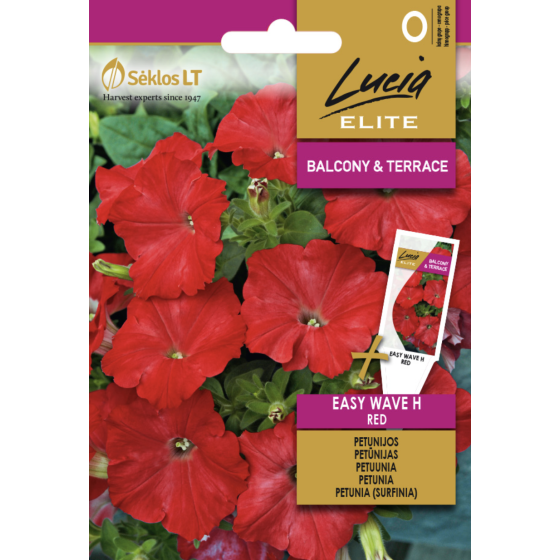 Petūnijas EASY WAVE H RED
