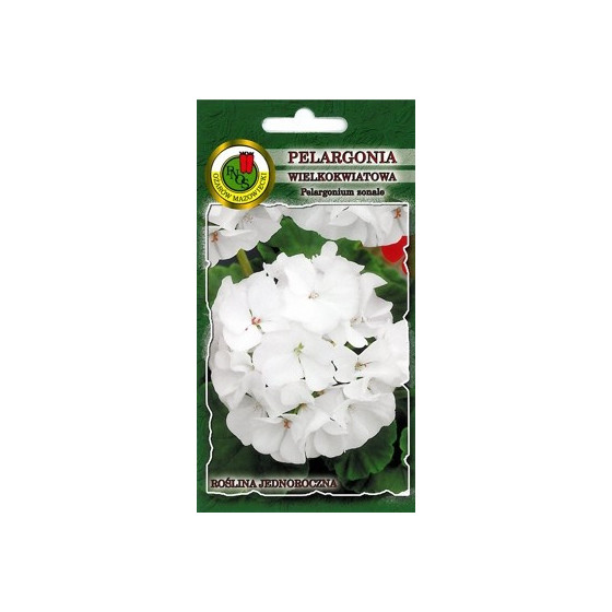 Pelargonija zonālā balta