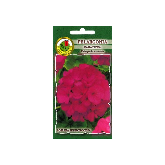 Pelargonija zonālā violeta