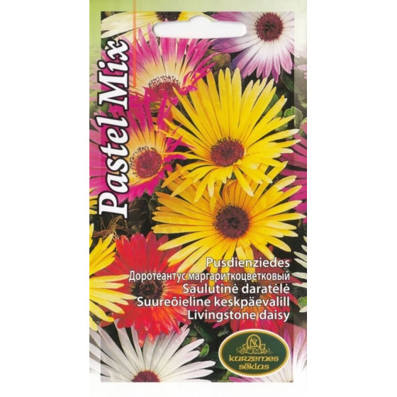 KS Pusdienziedes Pastel mix...