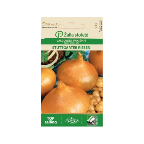 Sīpoli STUTTGARTER RIESEN 3g