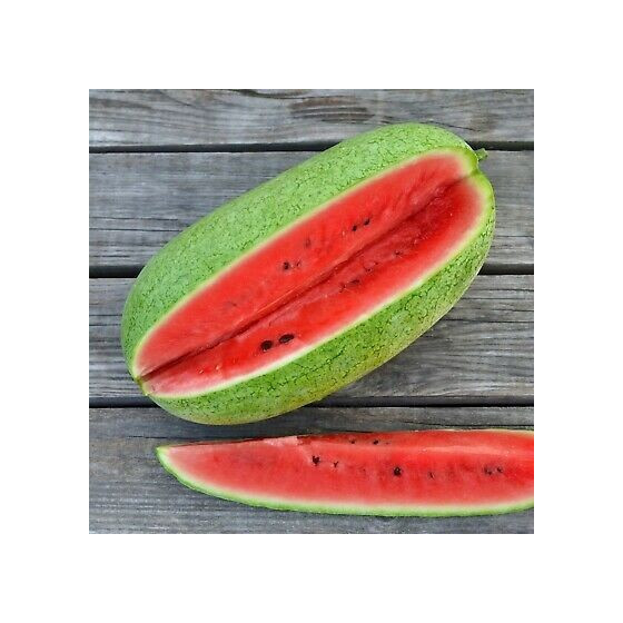 Arbūzi Charleston Grey 5s