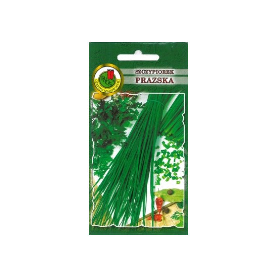 Sīpoli loku Prazska 2g