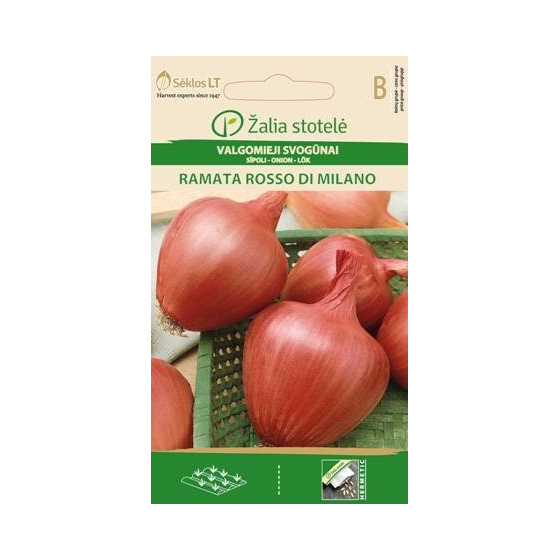 Sīpoli vasaras RAMATA ROSSO...