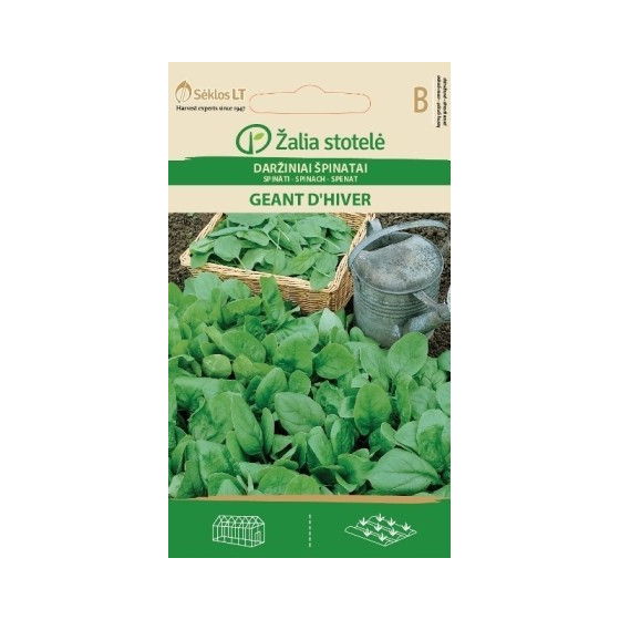 Spināti GEANT D'HIVER 3g