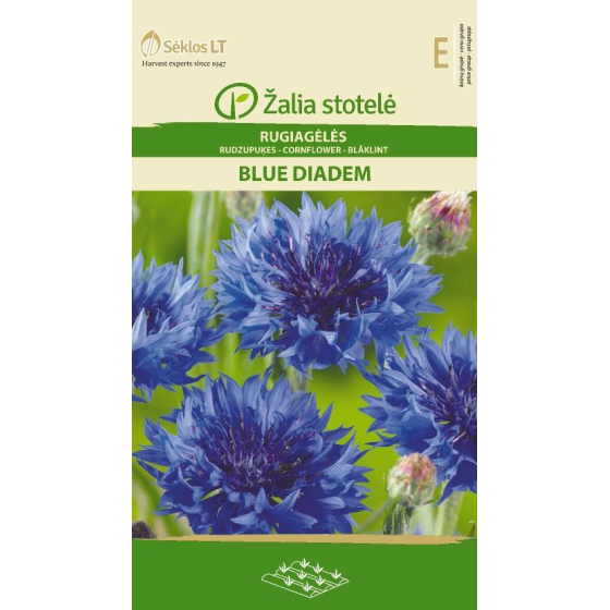 Rudzupuķes Blue Diadem