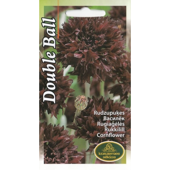 KS Rudzupuķes Double Ball...