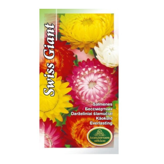 KS Salmenes Swiss Giants...