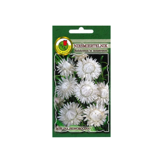 Salmenes seglapu baltas