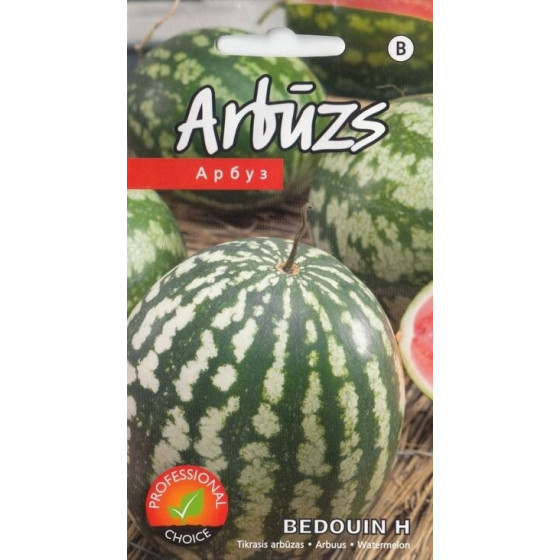 KS Arbūzs BEDOUINE H 5s