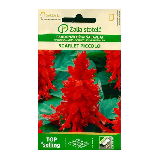Salvija spilgtā Scarlet...