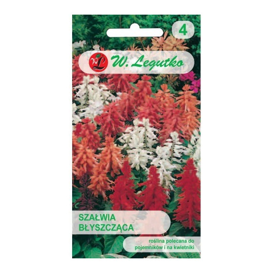 Salvija spilgtā Mix 0.3g L