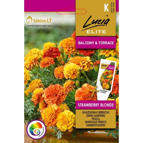 Samtenes zemās Strawberry...