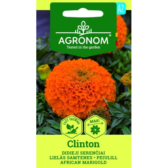 Samtenes lielās CLINTON 0,5g