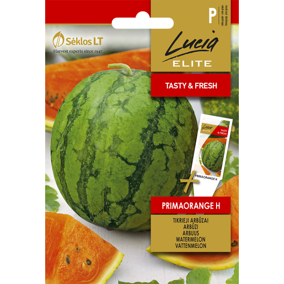 Arbūzi PRIMAORANGE H 1g LE