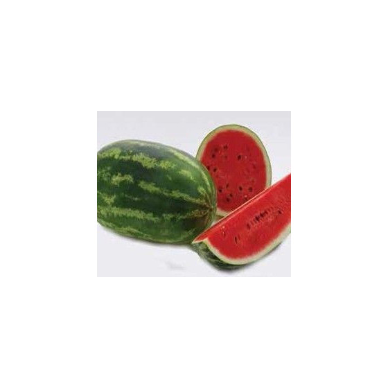 Arbūzi Odyssey F1 (50 sēklas)