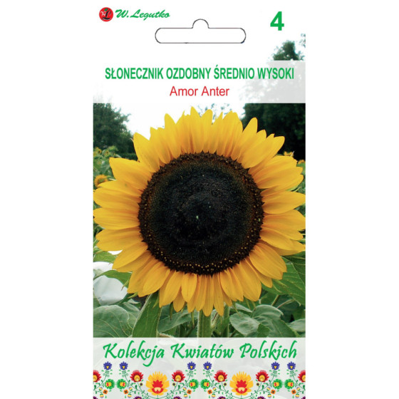 Saulespuķes Amor Anter 2g L