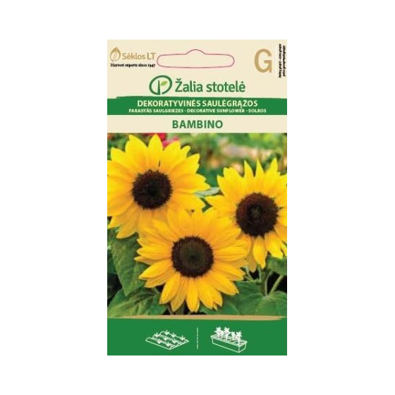 Saulespuķes Bambino