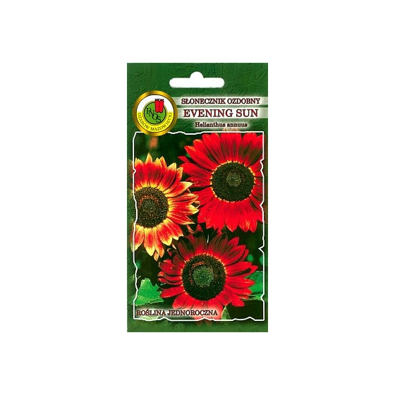 Saulespuķes vasaras EVENING...