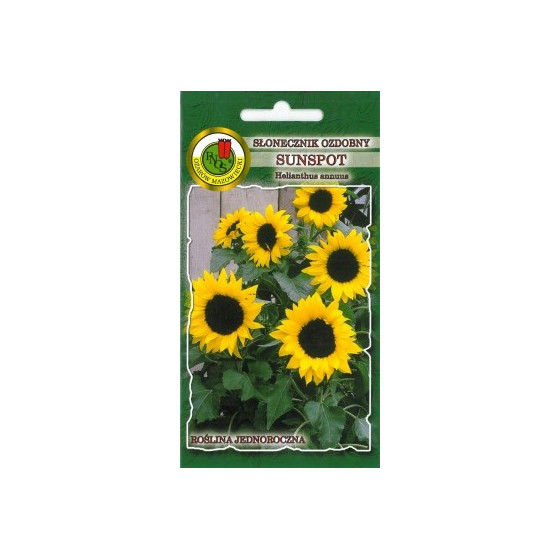 Saulespuķes zemās Sunspot