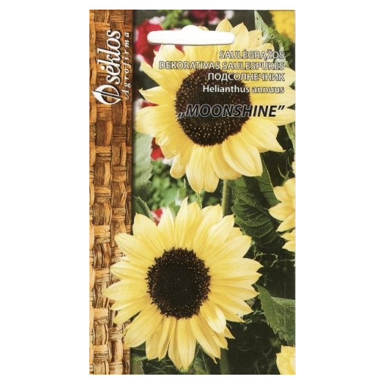 Saulespuķes MOONSHINE