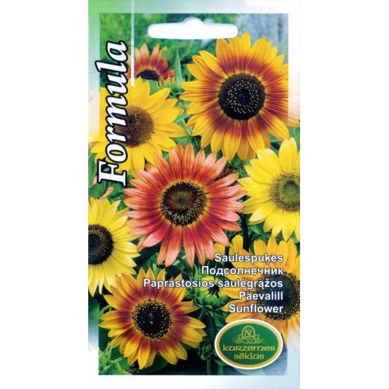 KS Saulespuķes Formula 1g*