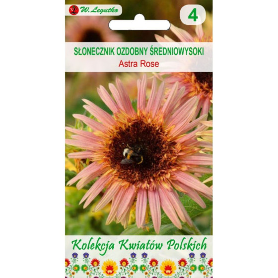 Saulespuķes Astra Rose 1g L