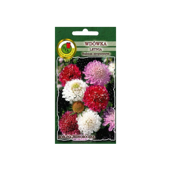 Skabioza purpursarkanā Mix