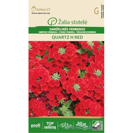 *Verbena QUARTZ H RED 15sēkl.