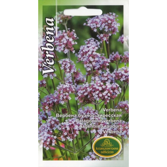 KS Verbena buenosairesas 0.1g