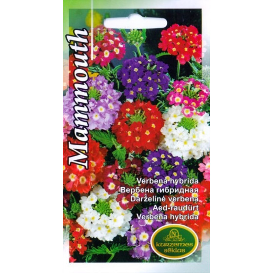 KS Verbenas Mammouth 0,2g