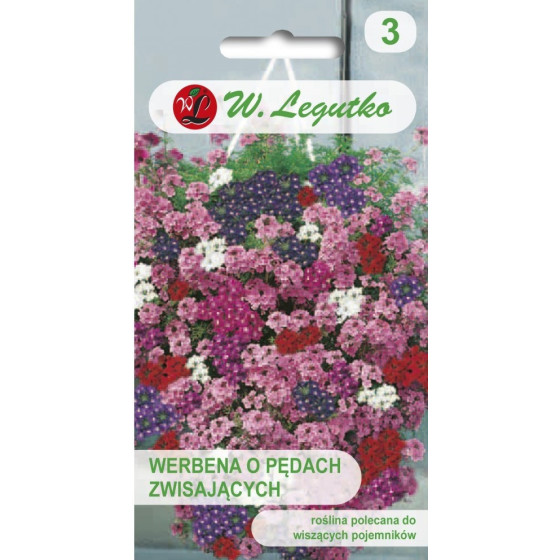 Verbenas hibrīdās,...