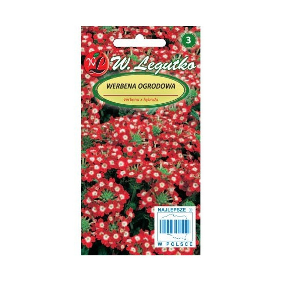 Verbenas hibrīdās zemās,...