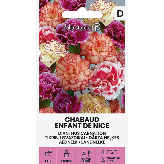 Neļķes CHABAUD ENFANT DE NICE