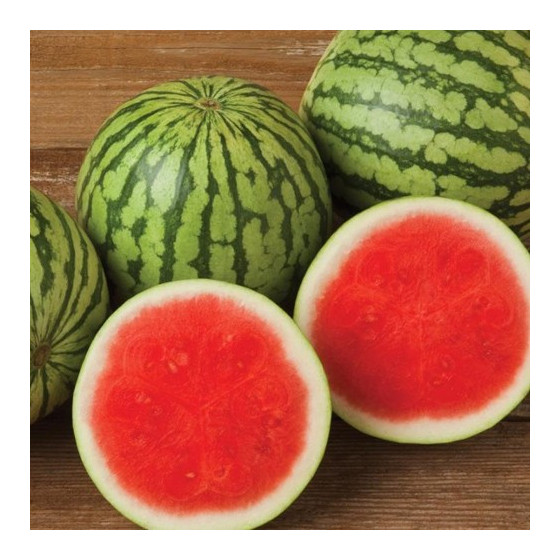 Arbūzi Podium F1 10 sēklas...