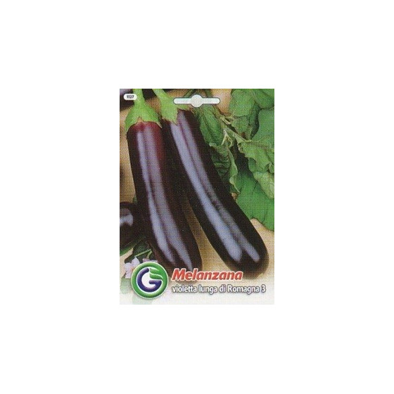 Baklažāni 'Violetta lunga...