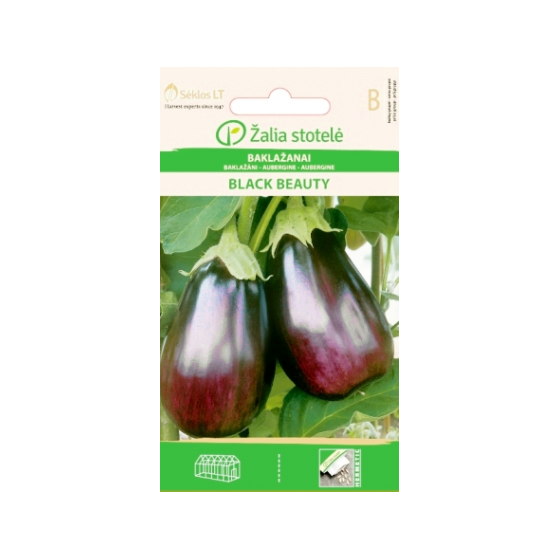 Baklažāni BLACK BEAUTY 0,5g
