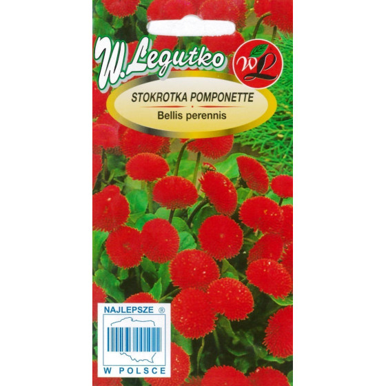 Mārpuķītes Pomponette...