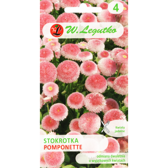 Mārpuķītes Pomponette...