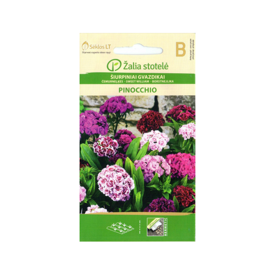 Čemurneļķes PINOCCIO